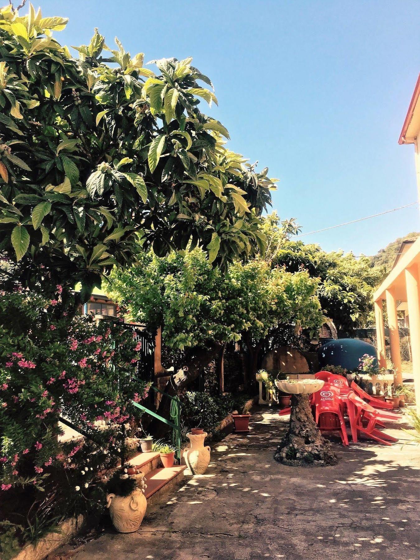 Hotel Ristorante La Mimosa Lamezia Terme Kültér fotó
